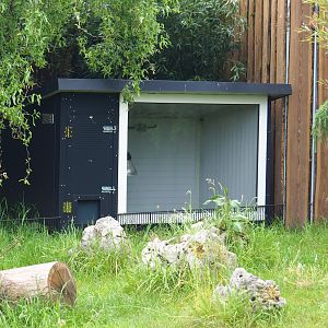 European pond turtle barn, 2022-05-17