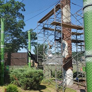 Essex County Turtle Back Zoo (2022) - Gibbon enclosure