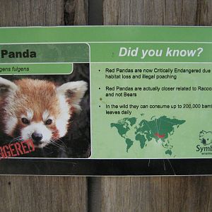 Label - Red Panda