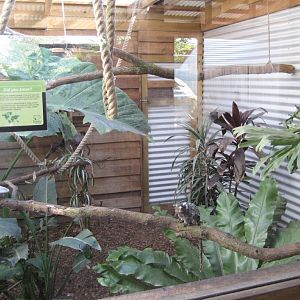 Marmoset Enclosure