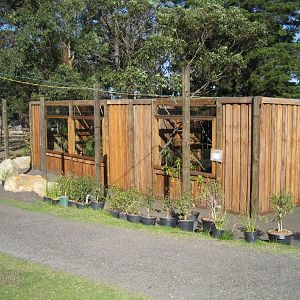 Cottontop Tamarin and Pygmy Marmoset enclosures