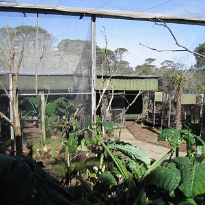 Walkthrough Aviary