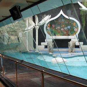 Former White Tiger Exhibit 1989-2008