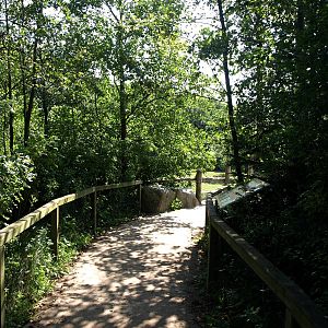 Givskud Zoo - Pygmy hippo exhibit