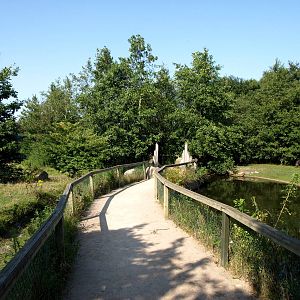 Givskud Zoo - Pygmy hippo exhibit