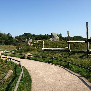 Givskud Zoo - Barbary macaque enclosure