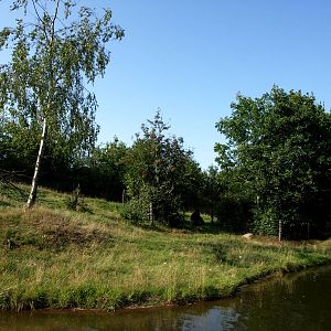 Givskud Zoo - Gorilla exhibit