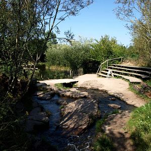 Givskud Zoo - Gorilla amphitheatre