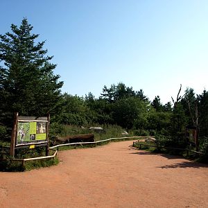 Givskud Zoo - Madagascar Island