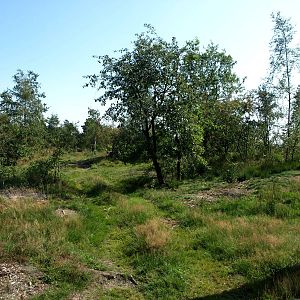 Givskud Zoo - Lion enclosure