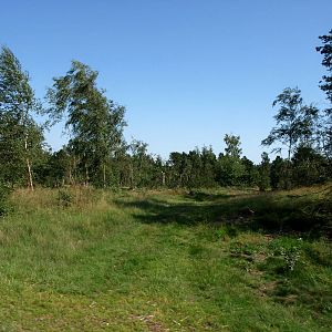 Givskud Zoo - Lion enclosure
