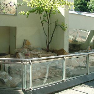 Asian Short-clawed Otter enclosure at Mulhouse 29/08/09