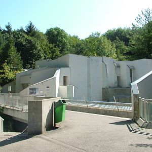 Bear complex at Mulhouse 29/08/09