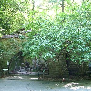 Former bear enclosure at Mulhouse 29/08/09