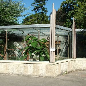 Crowned Sifaka enclosure at Mulhouse 29/08/09