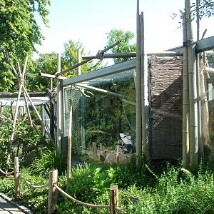 Lemur enclosures at Mulhouse 29/08/09