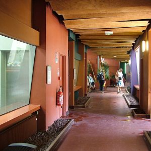 Monkey House interior at Mulhouse 29/08/09