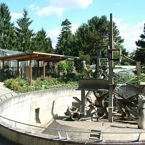 Tonkean Macaque exhibit and Monkey House at Mulhouse 29/08/09