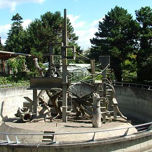 Tonkean Macaque exhibit at Mulhouse 29/08/09