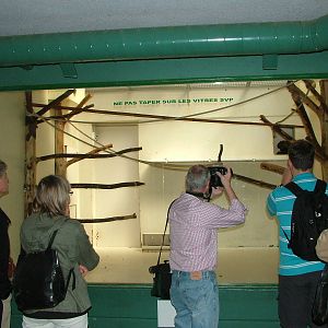 Zoo enthusiasts photographing a saki at Mulhouse 29/08/09