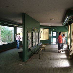 South American Primate House at Mulhouse 29/08/09