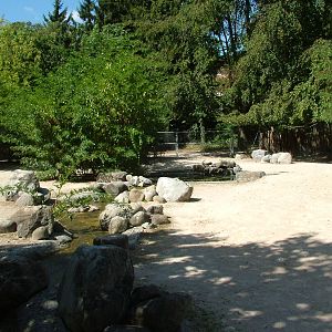 Grevy's Zebra paddock at Mulhouse 29/08/09