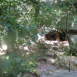 Arabian Sand Cat enclosure at Mulhouse 29/08/09