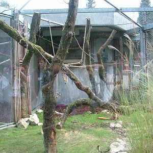 Sclater's Lemur enclosure at Mulhouse 29/08/09