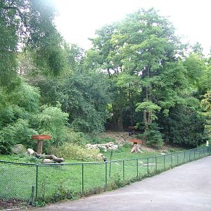 European Black Vulture enclosure at Mulhouse 29/08/09