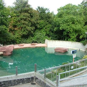 Patagonian Sealion pool at Mulhouse 29/08/09