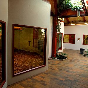 Givskud Zoo - Chimpanzee House