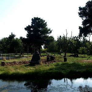 Givskud Zoo - Chimpanzee island
