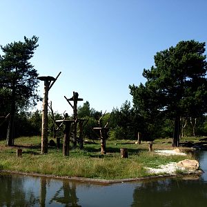 Givskud Zoo - Chimpanzee island