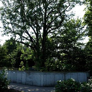 Givskud Zoo -Red panda exhibit