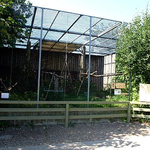 Givskud Zoo - Macaw aviary