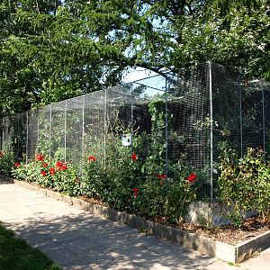 Givskud Zoo - Aviaries