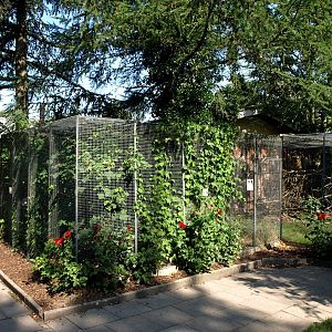 Givskud Zoo - Aviaries