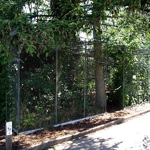Givskud Zoo - Tamarin exhibit