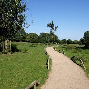 Givskud Zoo - Blackbuck enclosure