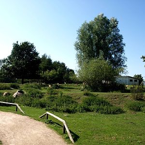 Givskud Zoo - Blackbuck enclosure