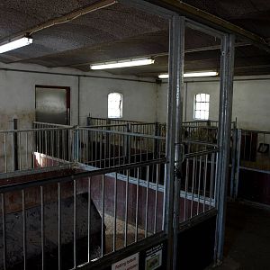 Givskud Zoo - The Farm