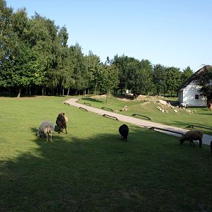 Givskud Zoo - Petting enclosure