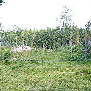 Wolf enclosure
