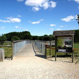 Scandinavian Wildlife Park - Moose Park