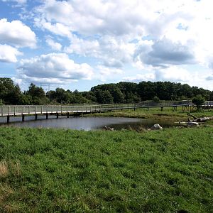 Scandinavian Wildlife Park - Moose Park