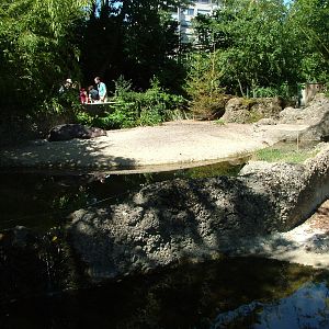 Pygmy Hippo pens at Basel Zoo 30/08/09