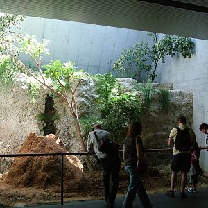 Termite and Chamaeleon enclosure at Basel Zoo 30/08/09
