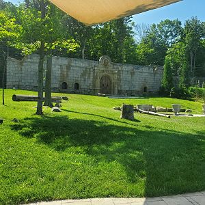 Essex County Turtle Back Zoo (2022) - Lion exhibit