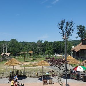Essex County Turtle Back Zoo (2022) - Giraffe outdoor exhibit