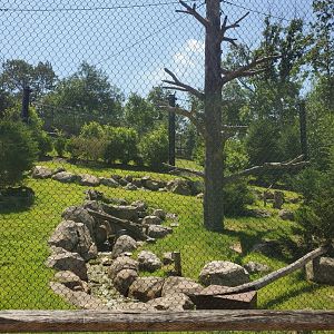 Essex County Turtle Back Zoo (2022) - Andean Condor enclosure